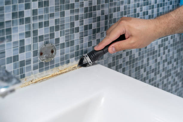 Best Mold Remediation for Specific Building Types in Severna Park, MD