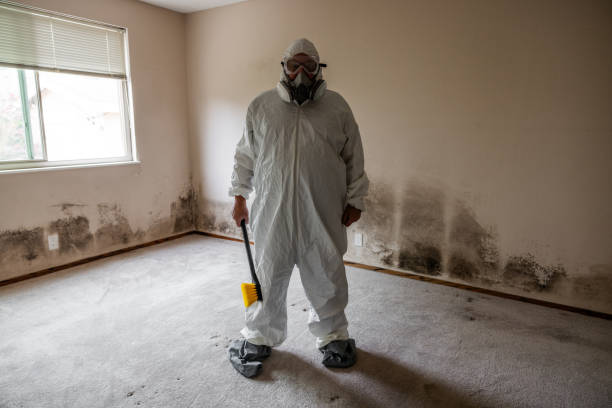 Best HVAC Mold Remediation in Severna Park, MD